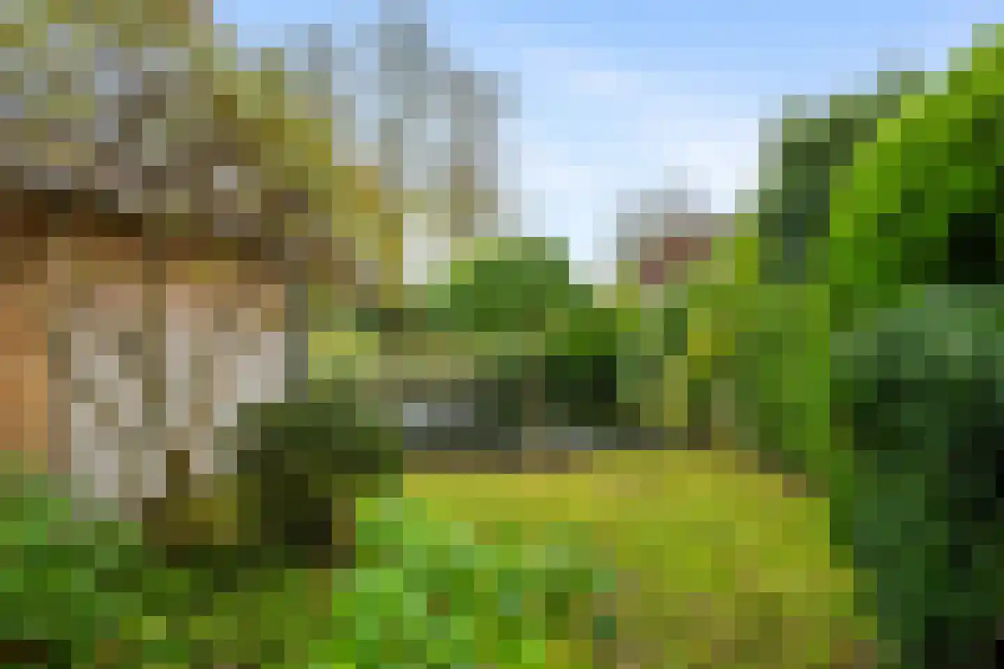 De Gaarde 9 Rhoon thumbnail 60
