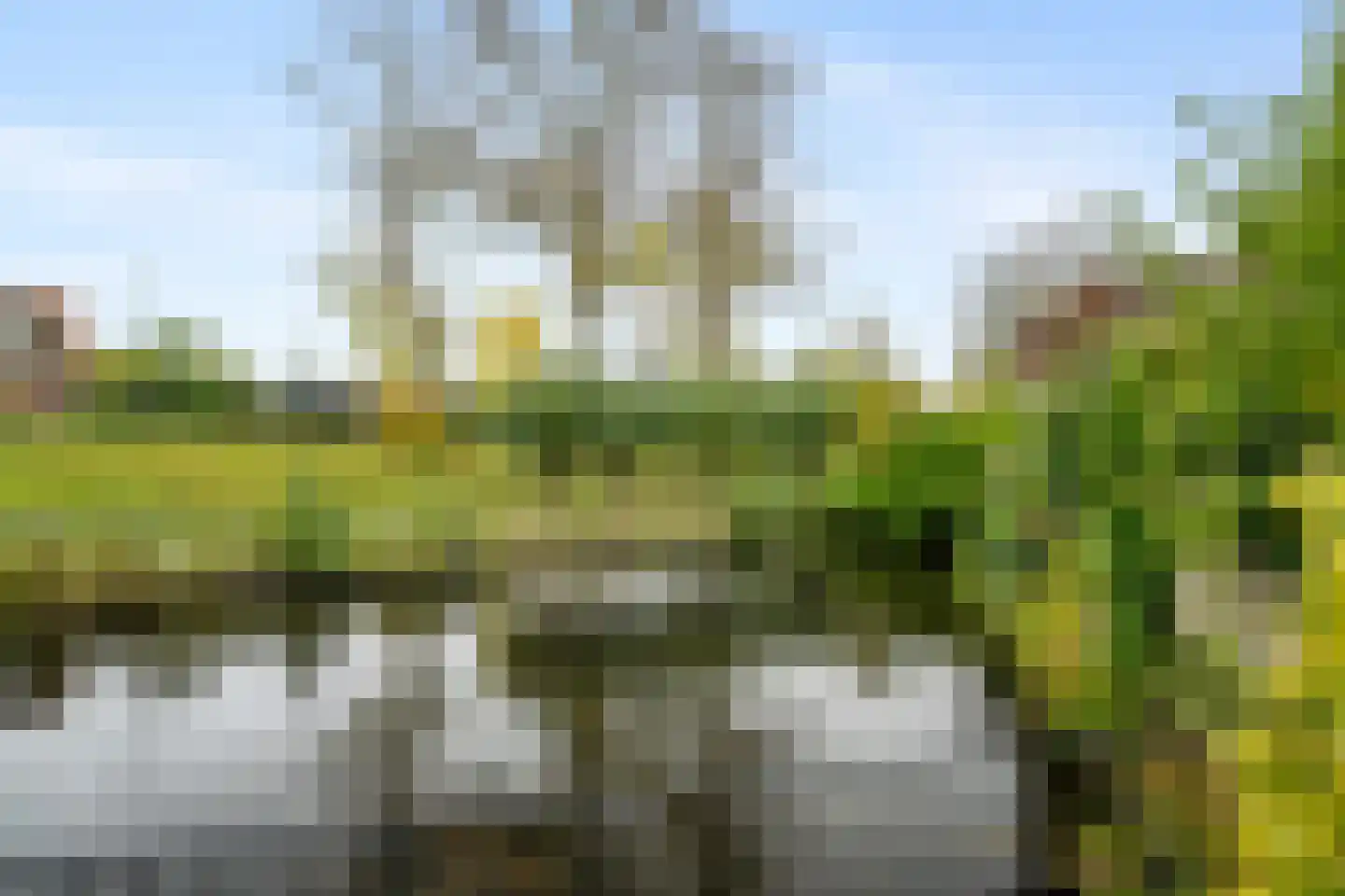 De Gaarde 9 Rhoon thumbnail 62