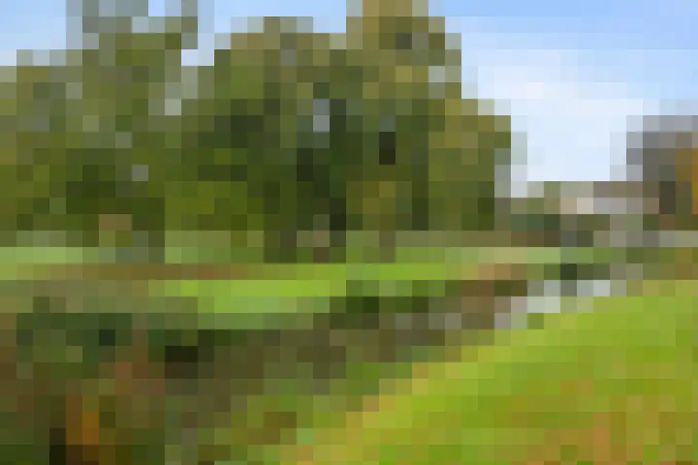 De Gaarde 9 Rhoon thumbnail 63