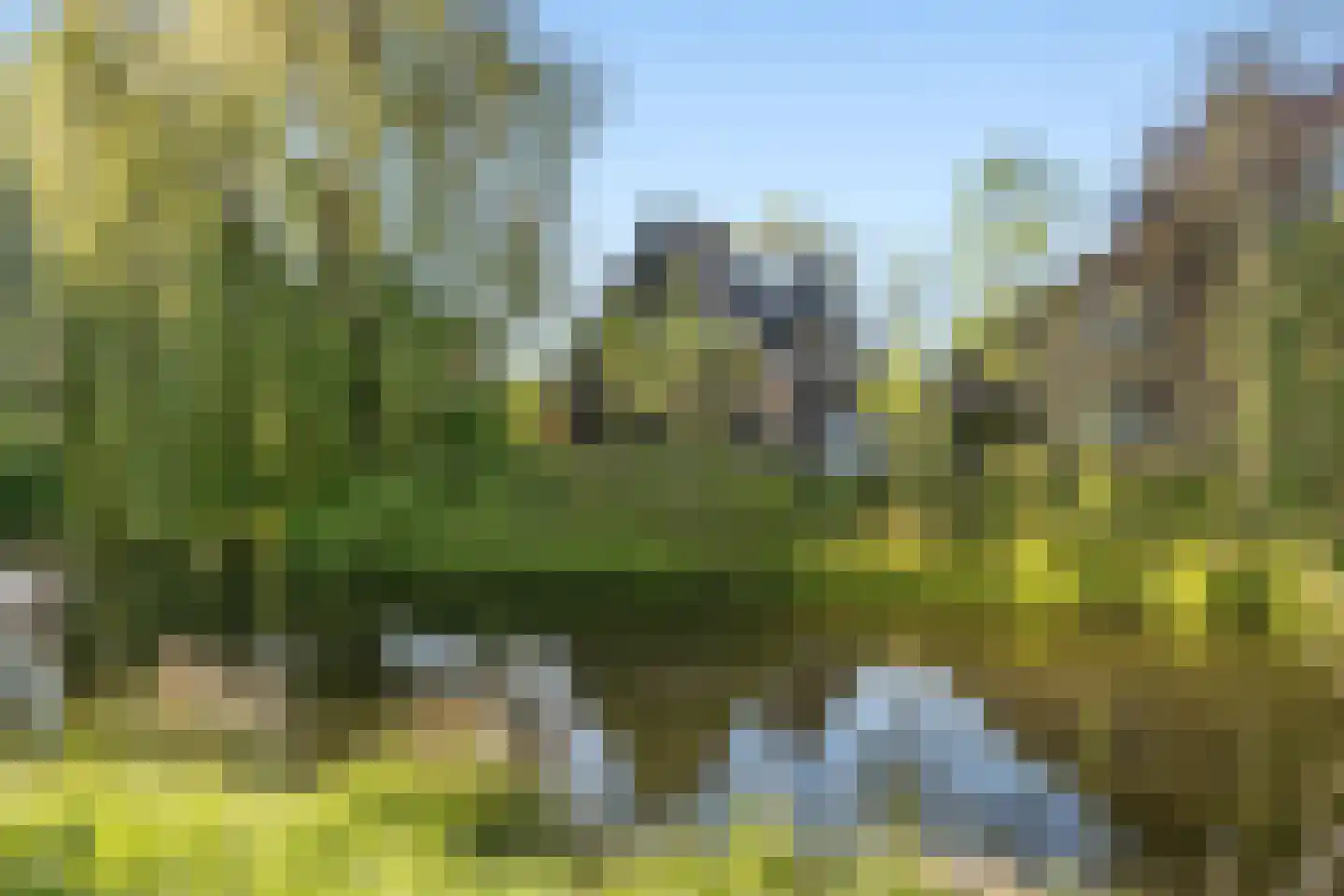 De Gaarde 9 Rhoon thumbnail 65