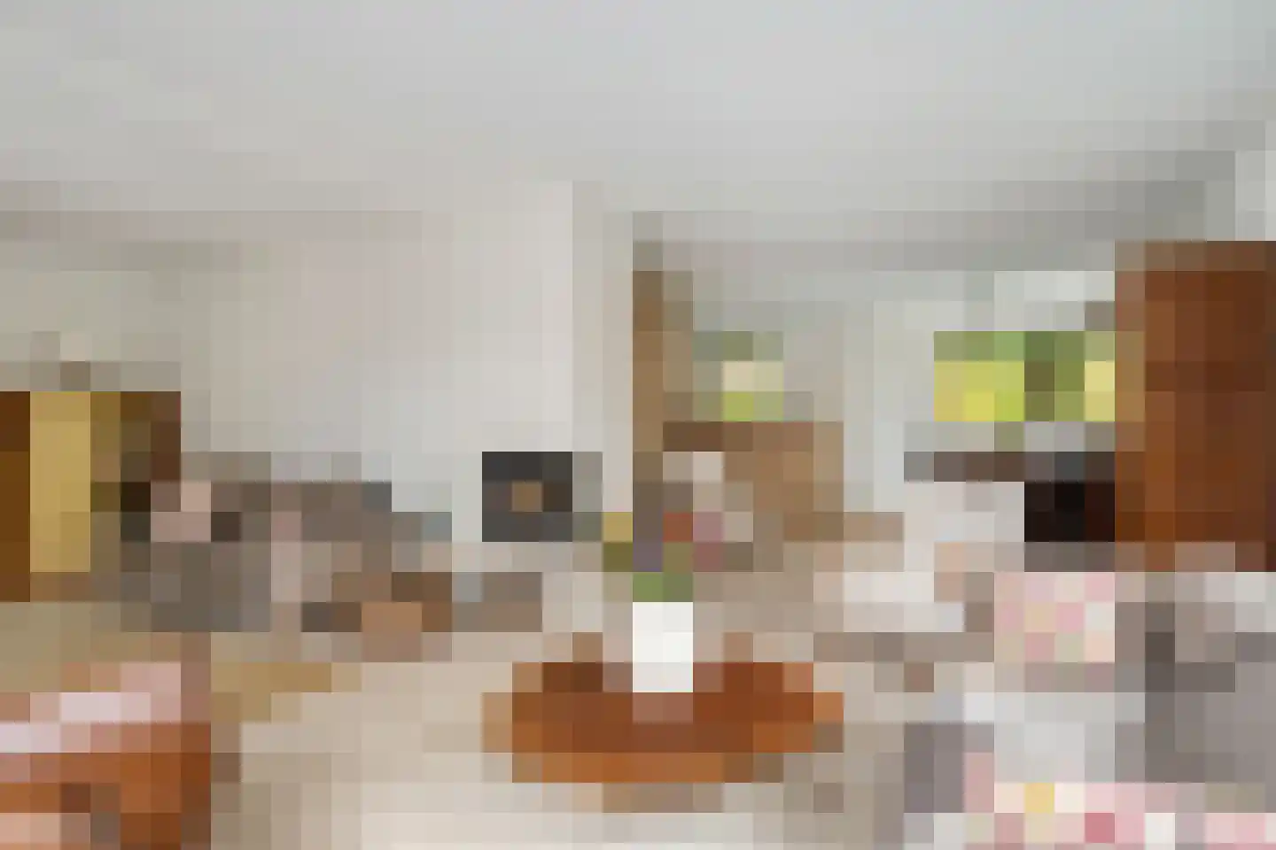 De Gaarde 9 Rhoon thumbnail 9