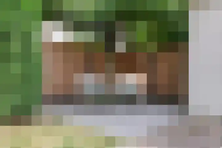 De Gaarden 2 Schiedam thumbnail 15