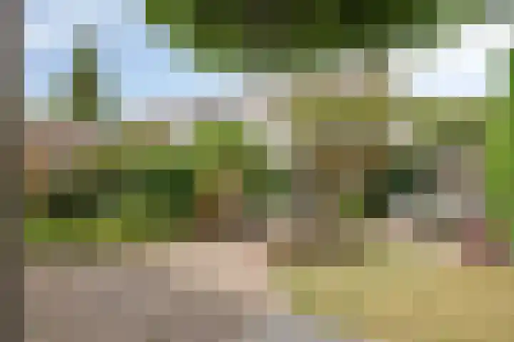 De Gaarden 2 Schiedam thumbnail 16