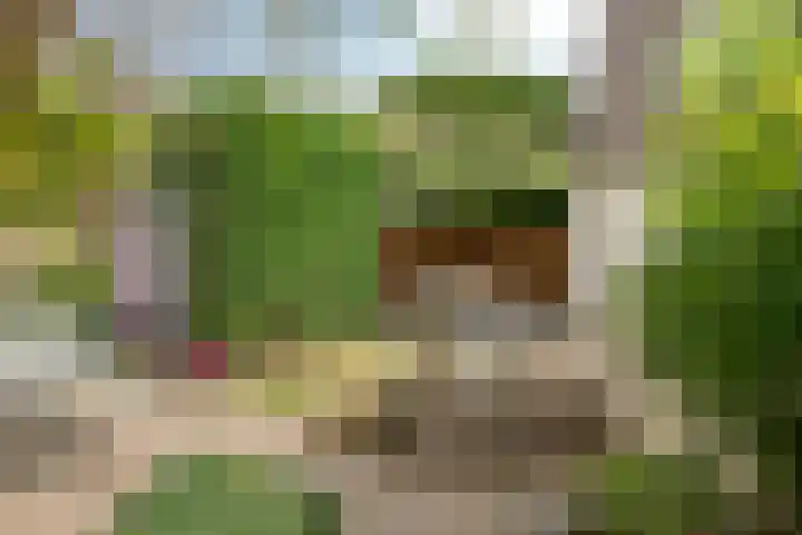 De Gaarden 2 Schiedam thumbnail 17