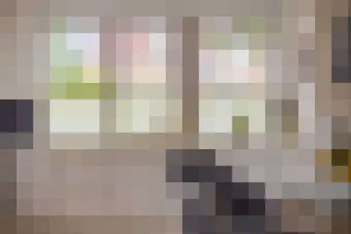 De Gaarden 2 Schiedam thumbnail 7