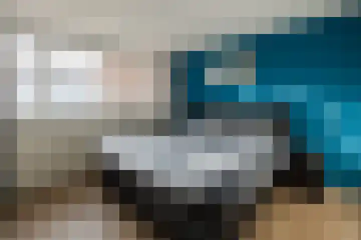 de Gaarden 50 Raalte thumbnail 14