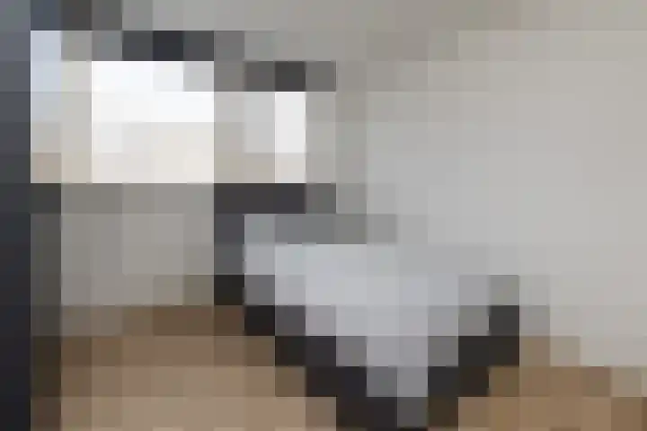 de Gaarden 50 Raalte thumbnail 16