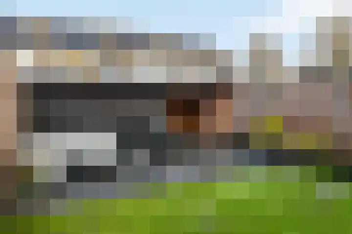 de Gaarden 50 Raalte thumbnail 26