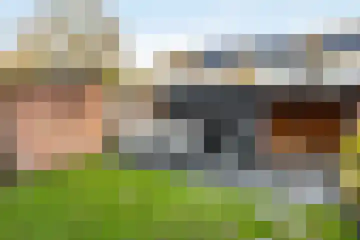 de Gaarden 50 Raalte thumbnail 27