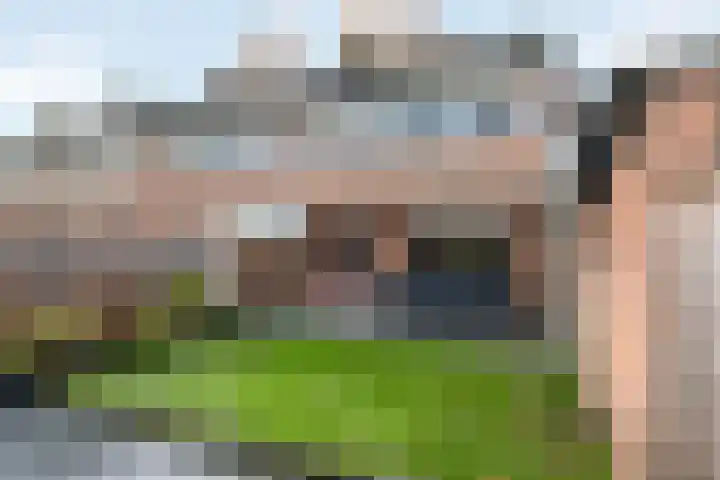 de Gaarden 50 Raalte thumbnail 29