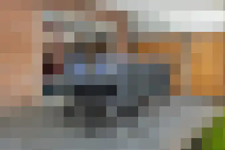 de Gaarden 50 Raalte thumbnail 30