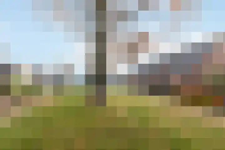 de Gaarden 50 Raalte thumbnail 31