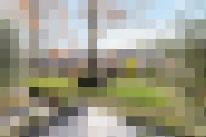 de Gaarden 50 Raalte thumbnail 4