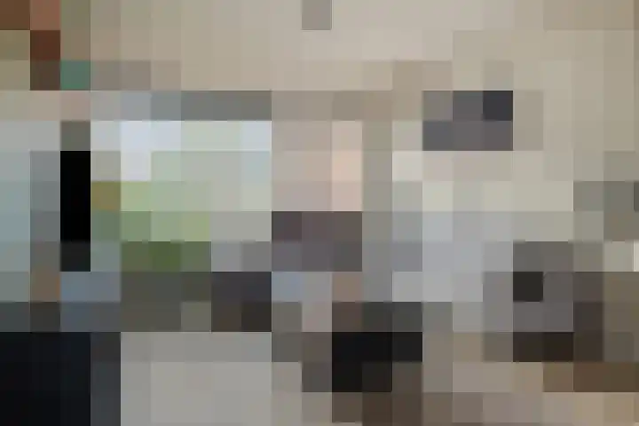de Gaarden 50 Raalte thumbnail 6