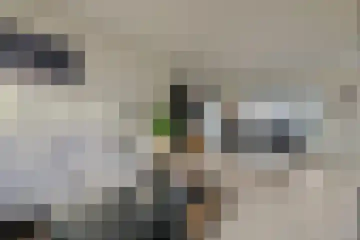 de Gaarden 50 Raalte thumbnail 7