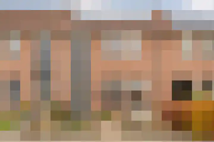De Gaffel 25 dans Den Ham
