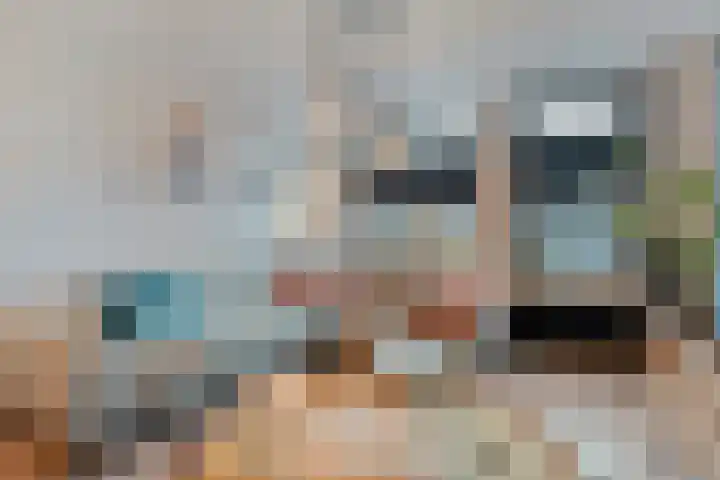 De Gaffel 25 Den Ham thumbnail 12