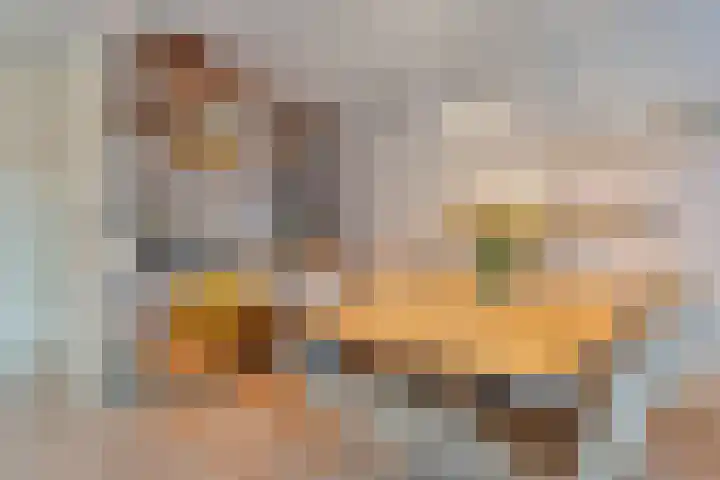 De Gaffel 25 Den Ham thumbnail 14