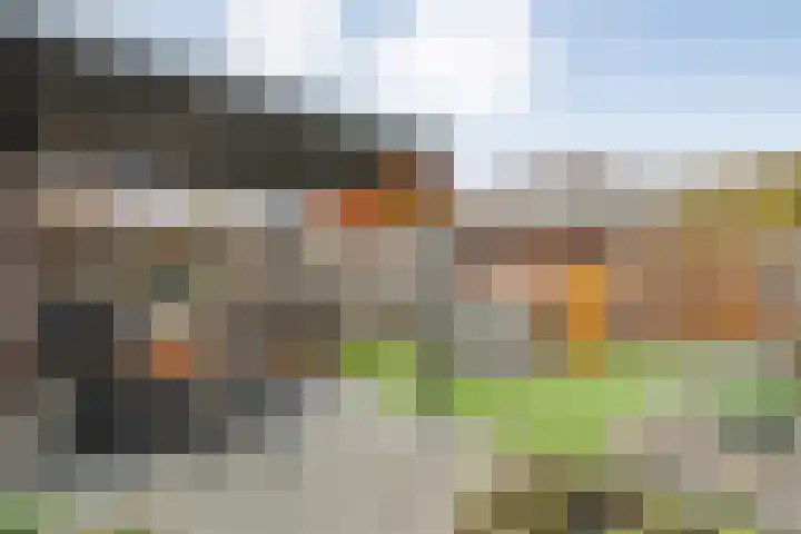 De Gaffel 25 Den Ham thumbnail 38