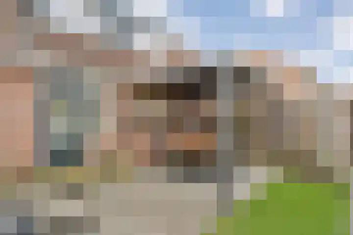 De Gaffel 25 Den Ham thumbnail 41