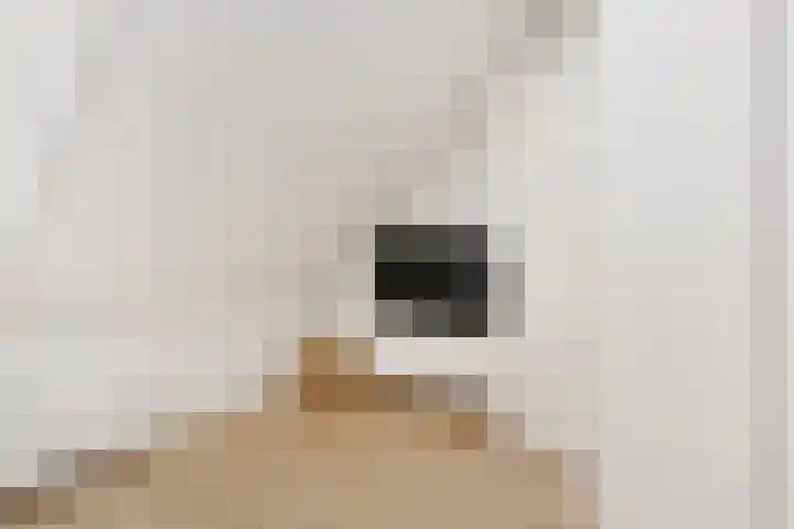 De Gaffel 25 Den Ham thumbnail 46
