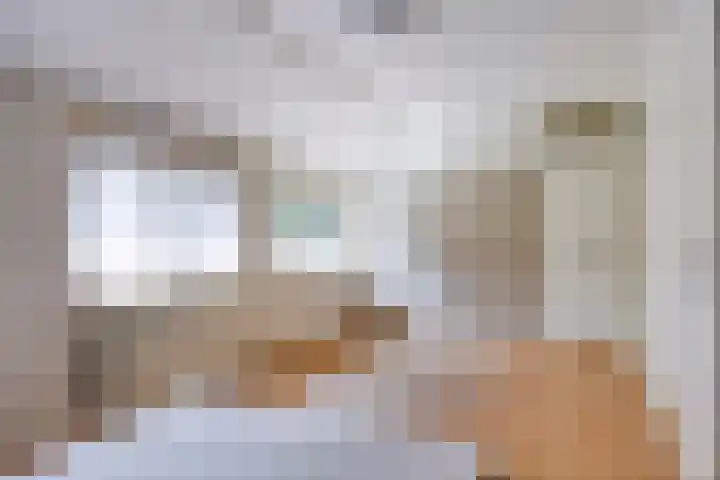 de Gaffel 25 Lieshout thumbnail 14