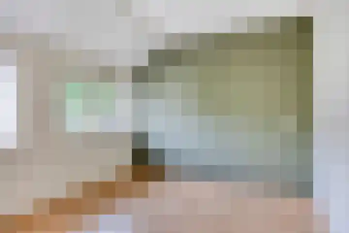 de Gaffel 25 Lieshout thumbnail 18