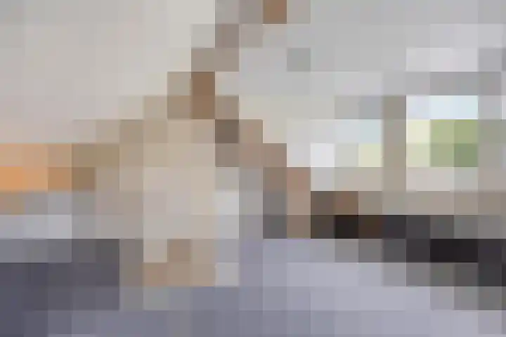 de Gaffel 25 Lieshout thumbnail 21