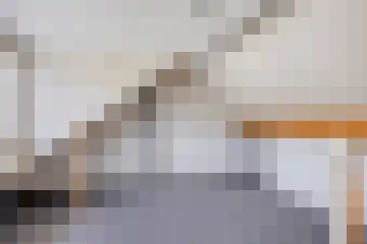 de Gaffel 25 Lieshout thumbnail 22
