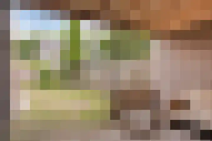 de Gaffel 25 Lieshout thumbnail 23