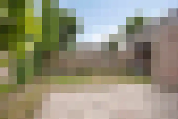 de Gaffel 25 Lieshout thumbnail 27