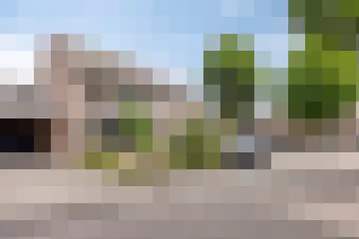 de Gaffel 25 Lieshout thumbnail 30