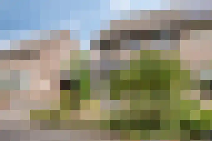 de Gaffel 25 Lieshout thumbnail 31
