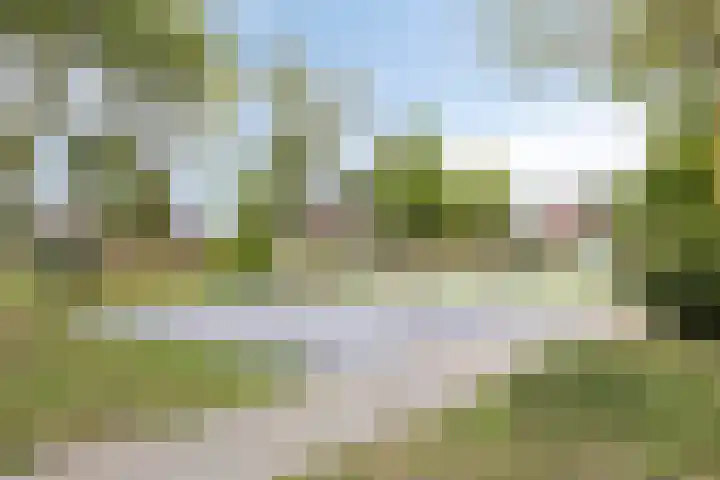 de Gaffel 25 Lieshout thumbnail 33