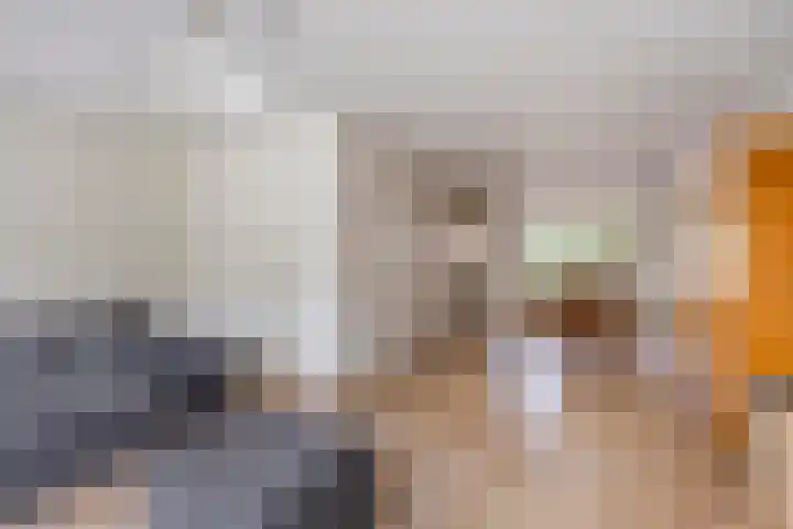 de Gaffel 25 Lieshout thumbnail 4
