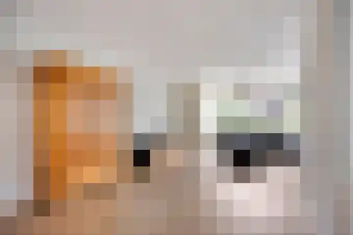 de Gaffel 25 Lieshout thumbnail 5