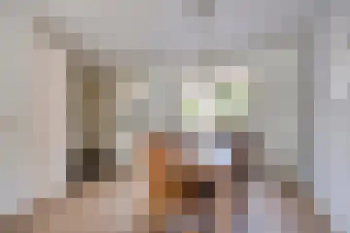 de Gaffel 25 Lieshout thumbnail 6