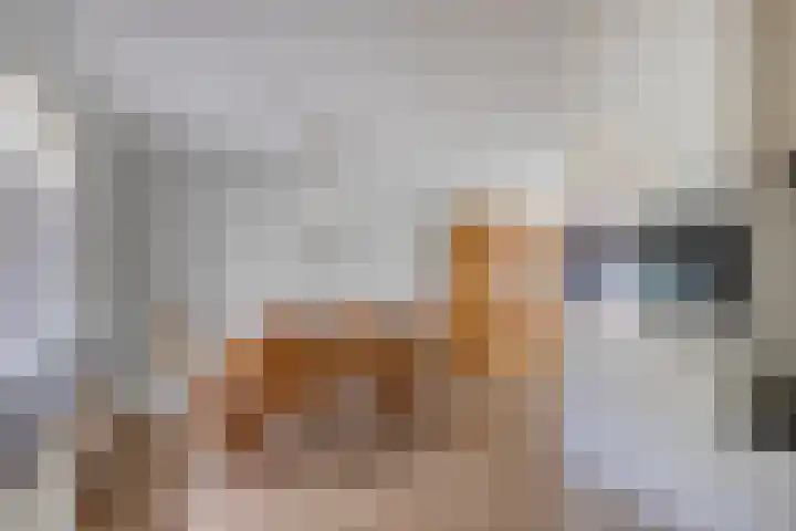 de Gaffel 25 Lieshout thumbnail 7