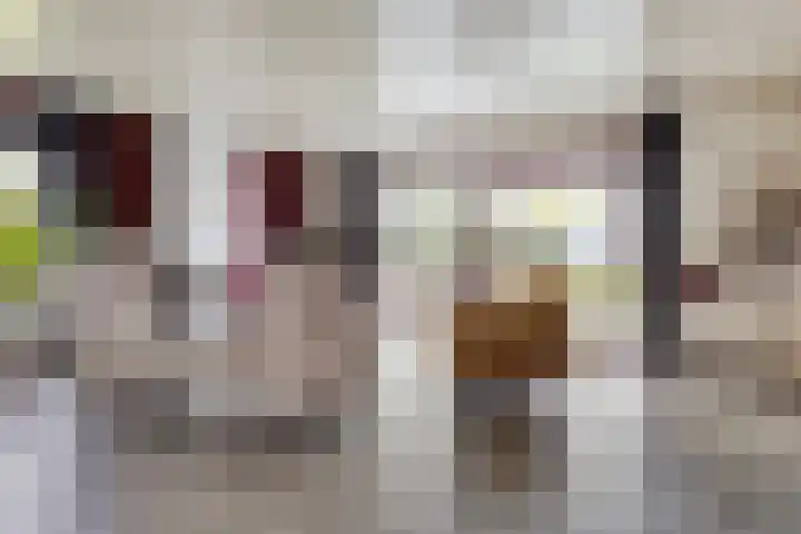 De Gaffel 3 Groesbeek thumbnail 12