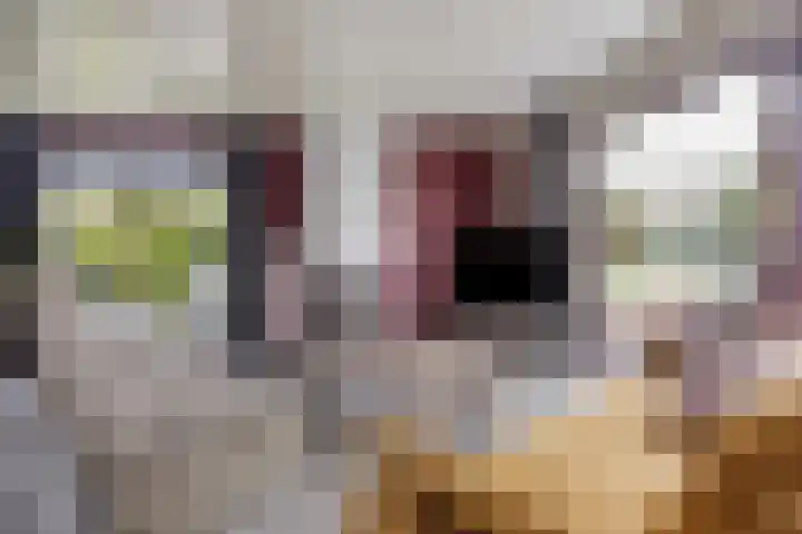 De Gaffel 3 Groesbeek thumbnail 13
