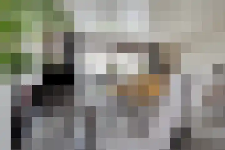 De Gaffel 3 Groesbeek thumbnail 15