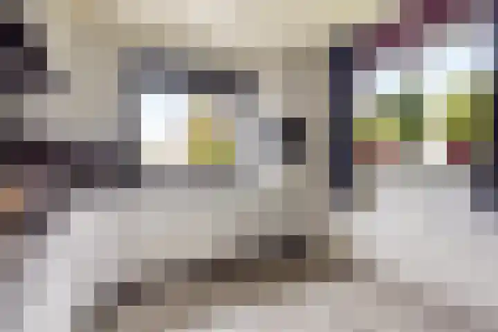 De Gaffel 3 Groesbeek thumbnail 17