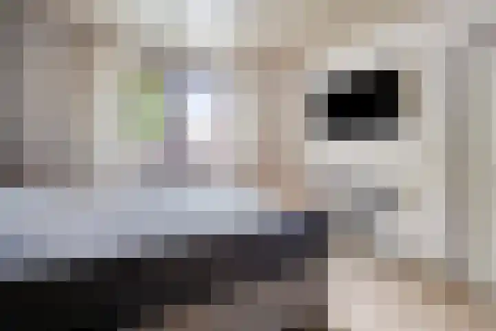 De Gaffel 3 Groesbeek thumbnail 24
