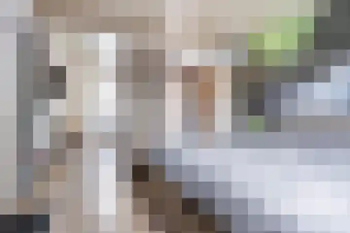 De Gaffel 3 Groesbeek thumbnail 25