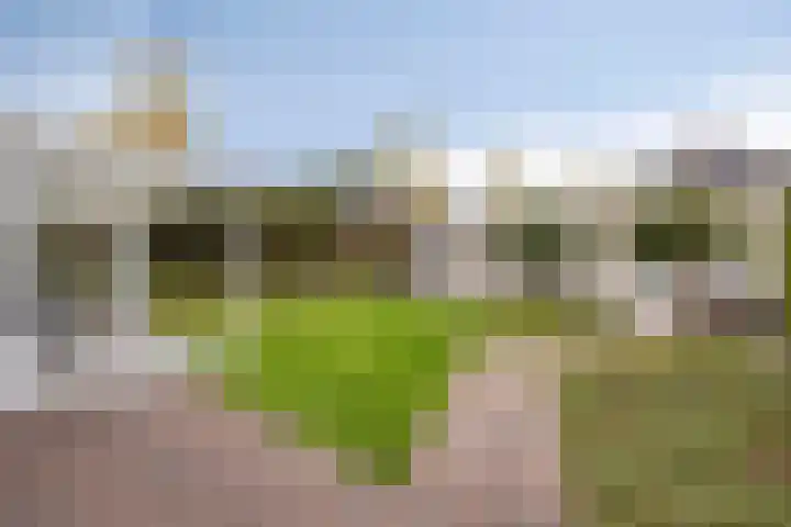 De Gaffel 3 Groesbeek thumbnail 38