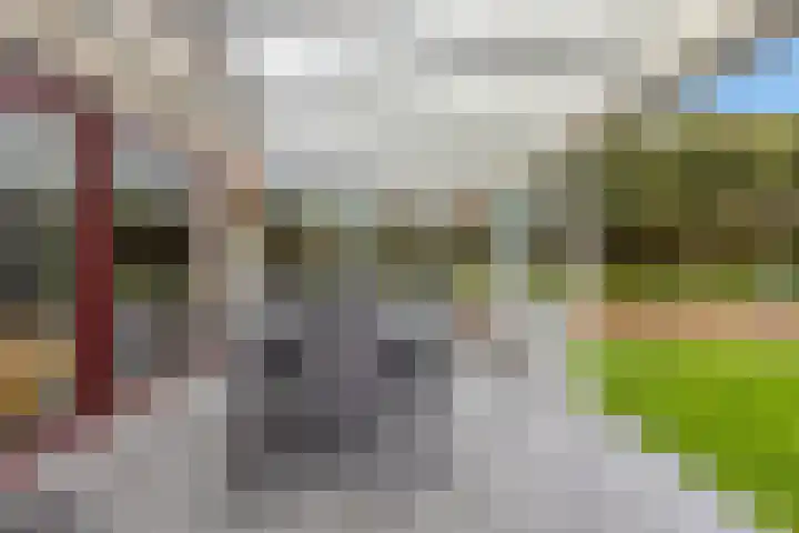 De Gaffel 3 Groesbeek thumbnail 39