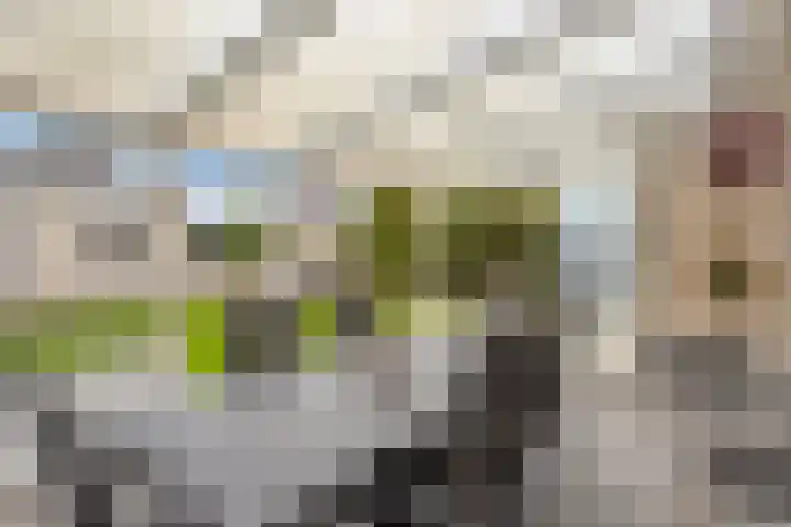 De Gaffel 3 Groesbeek thumbnail 40