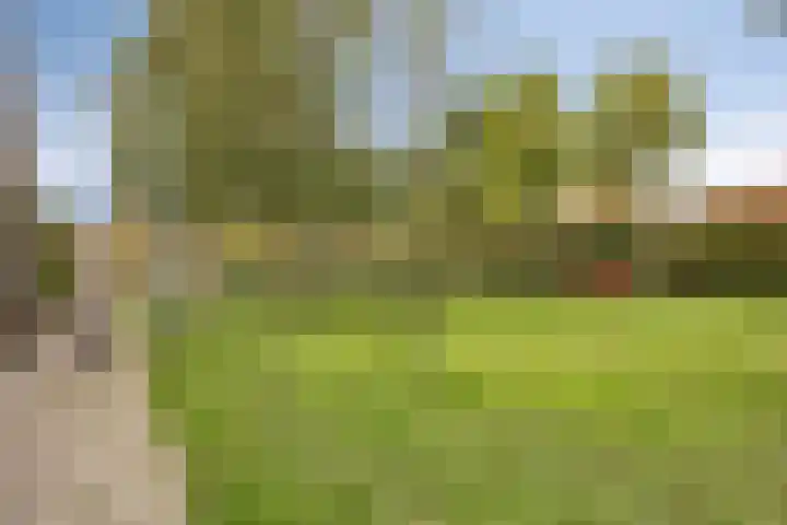 De Gaffel 3 Groesbeek thumbnail 42