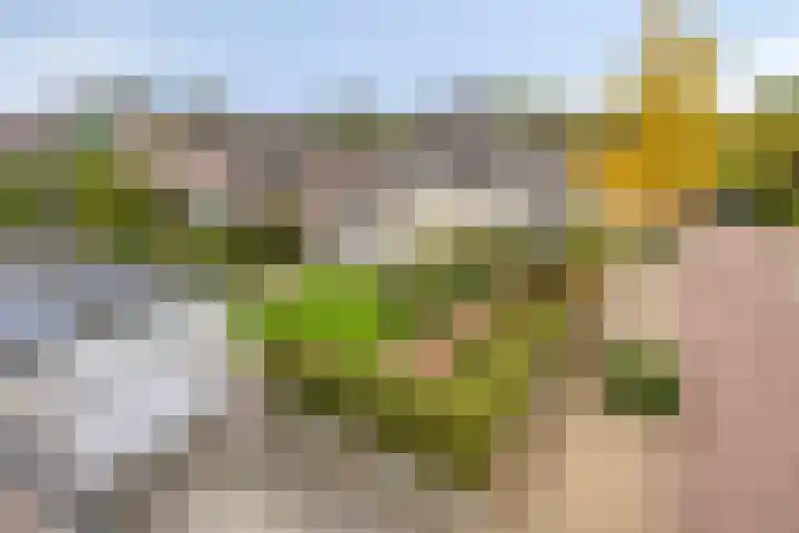 De Gaffel 3 Groesbeek thumbnail 9