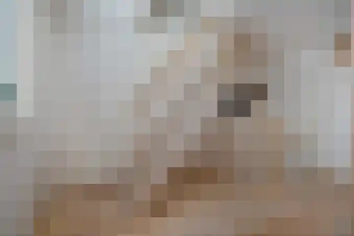 De Gaffel 37 Den Ham thumbnail 19
